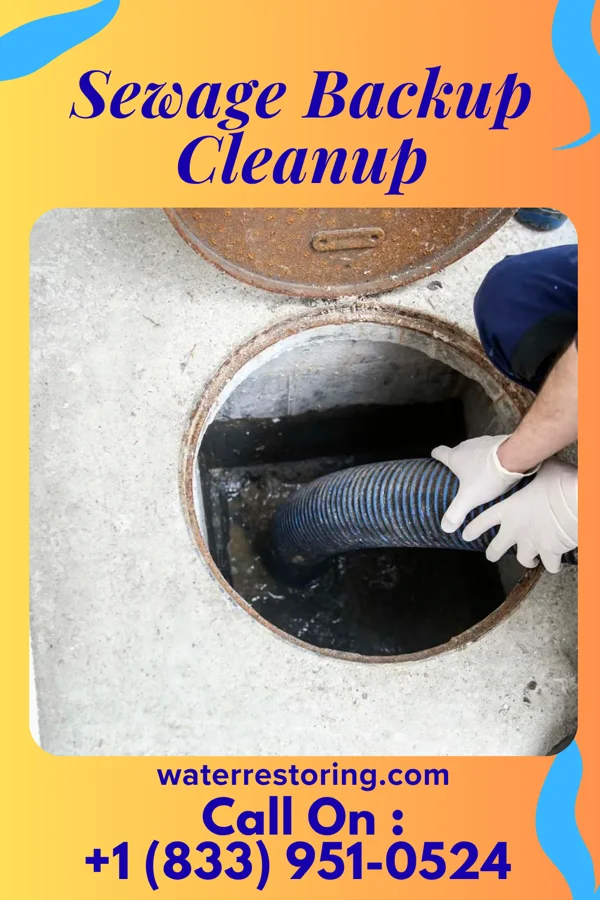 Sewage Backup Cleanup in Canadian Shores, OK